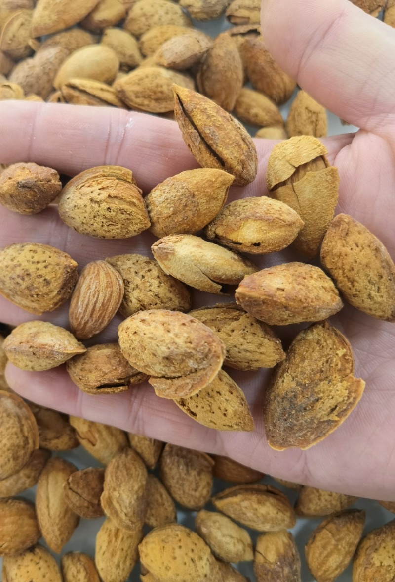 纸皮巴旦木坚果零食新疆特产