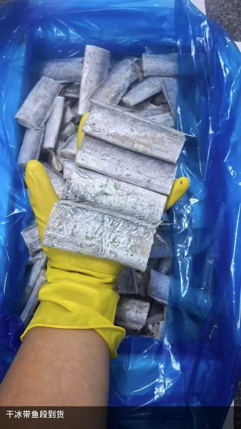 带鱼段/干冰带鱼段/大量有货/一手货源/对接全国采购商