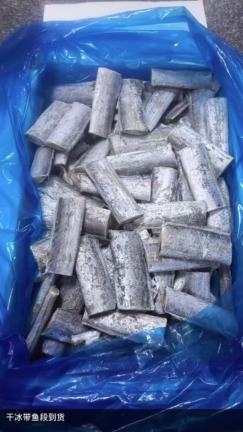 带鱼段/干冰带鱼段/大量有货/一手货源/对接全国采购商