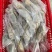 干冰冷冻小青龙B级品质