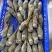 干冰冷冻小青龙B级品质