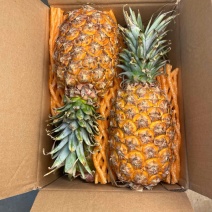 金砖凤梨一件代发有保障，无中间商赚差价，电商，商超，微商