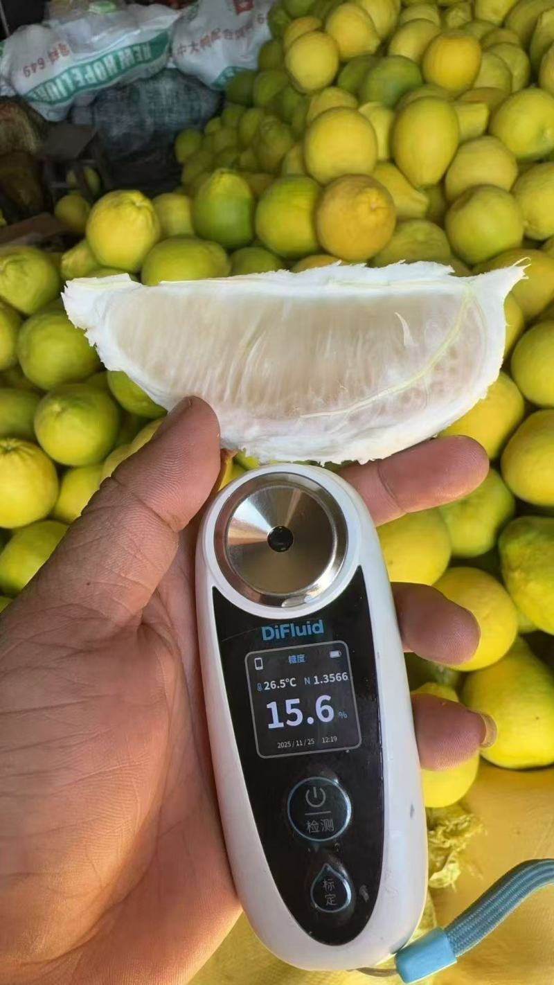 阳朔兴坪老树柚