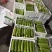 嘉兴短瓠瓜大量上市，头茬采摘，价格实惠，量大从优