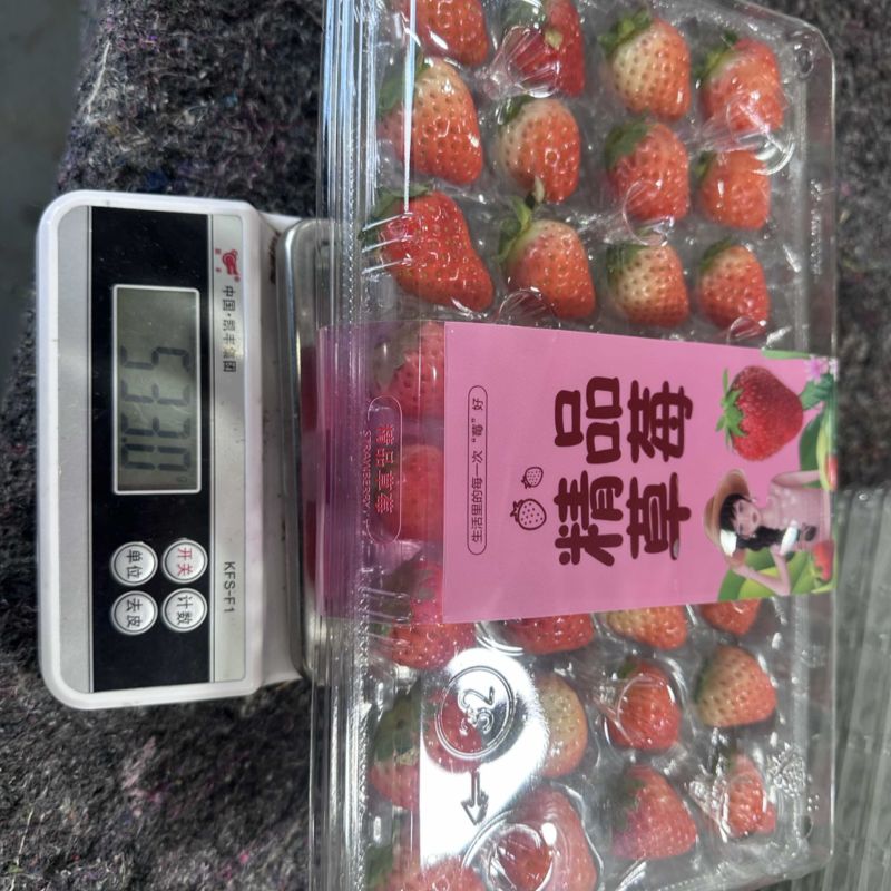 徐州冬草莓