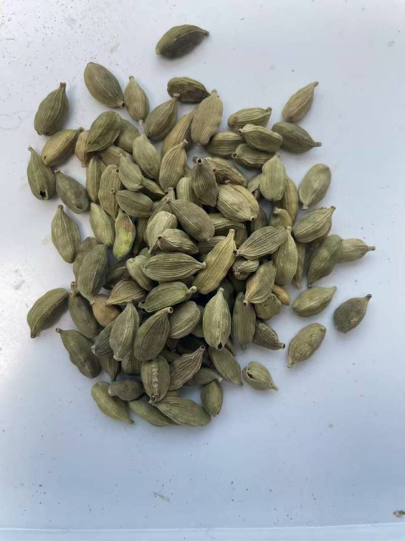 绿豆蔻香料类批发中药材原料批发各种规格都有现货