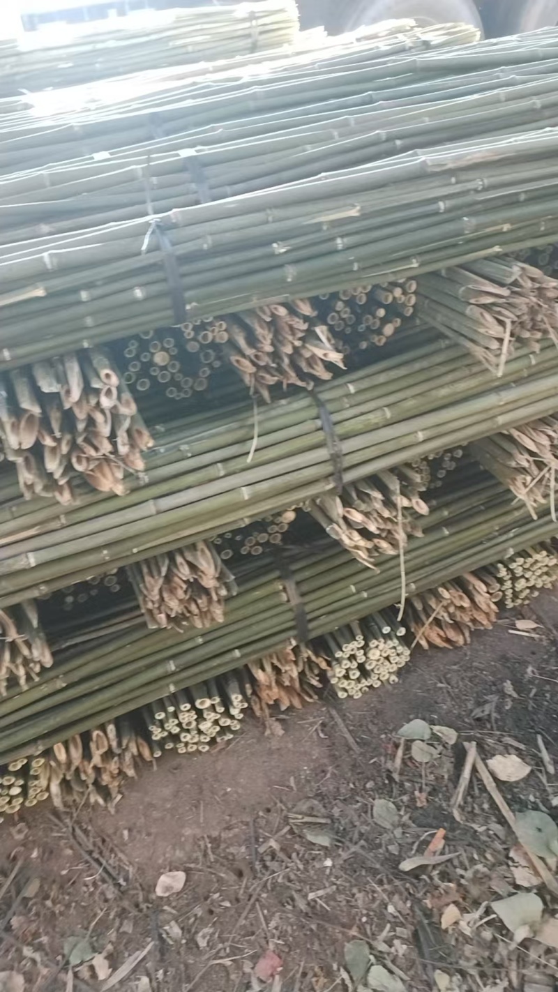 湖南产地直发精品竹竿，竹子，菜架竹，豆角架，全年有货，