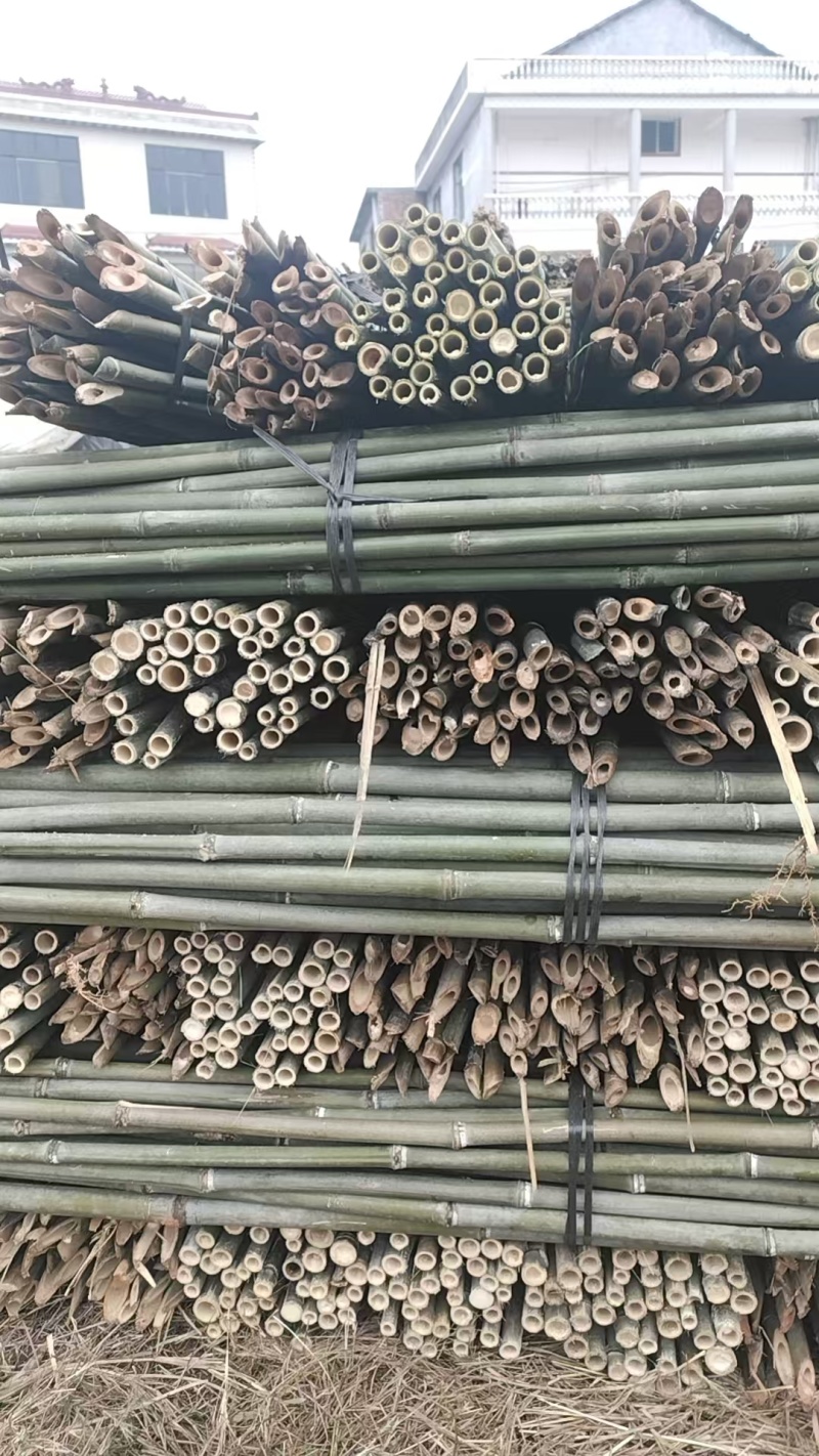 湖南产地直发精品竹竿，竹子，菜架竹，豆角架，全年有货，