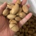 现货碧根果新货批发量大一件代发