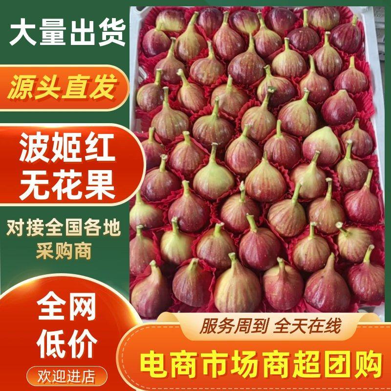 波姬红无花果产地直供量大价低品质保证对接全国