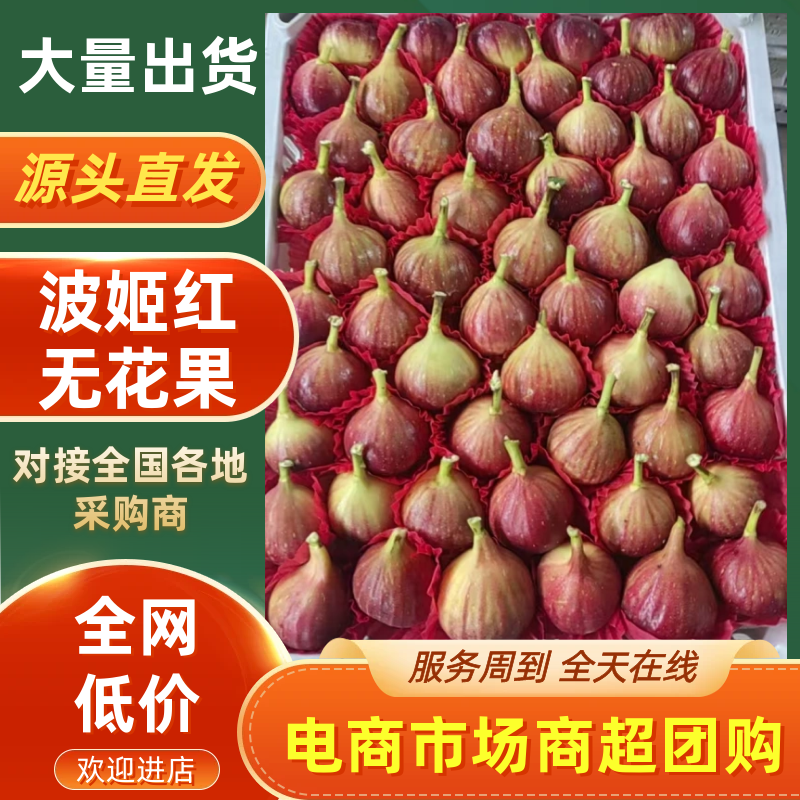 波姬红无花果产地直供量大价低品质保证对接全国