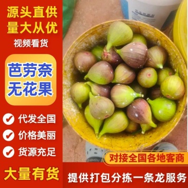 山东芭劳奈无花果大量上市品质保证值得信赖对接全国市场