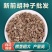 前胡种子改良高产前胡籽白花大叶前胡发芽率高种植简单