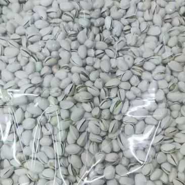 开心果工厂直销大量现货各平台一件代发