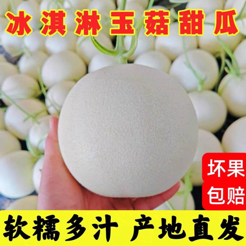 《玉菇甜瓜》海南甜瓜/精品货源/产地代办/全国供应批发