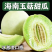 《玉菇甜瓜》海南甜瓜/精品货源/产地代办/全国供应批发