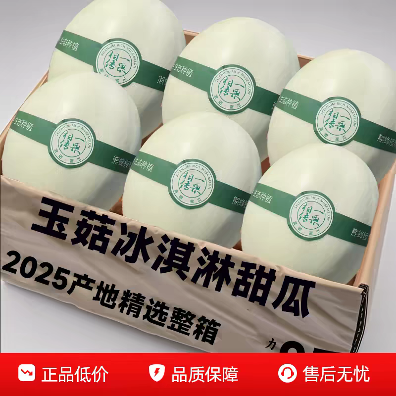 《玉菇甜瓜》海南甜瓜/精品货源/产地代办/全国供应批发