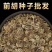纯新前胡种子批发改良白花前胡籽包发芽提供技术指导好管理