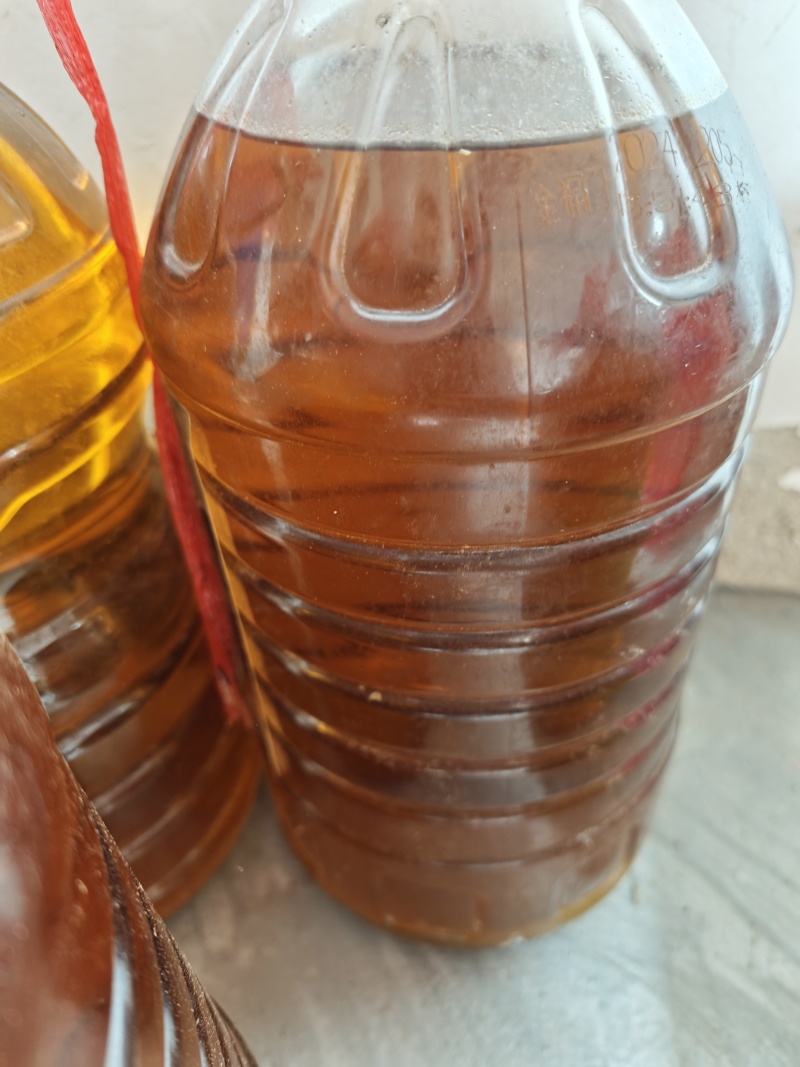 农家山茶油现有50斤