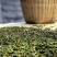 精品普洱茶落水洞产地直供品质保证诚信经营对接超市电商等