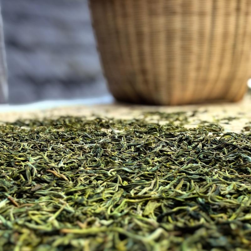 精品普洱茶落水洞产地直供品质保证诚信经营对接超市电商等