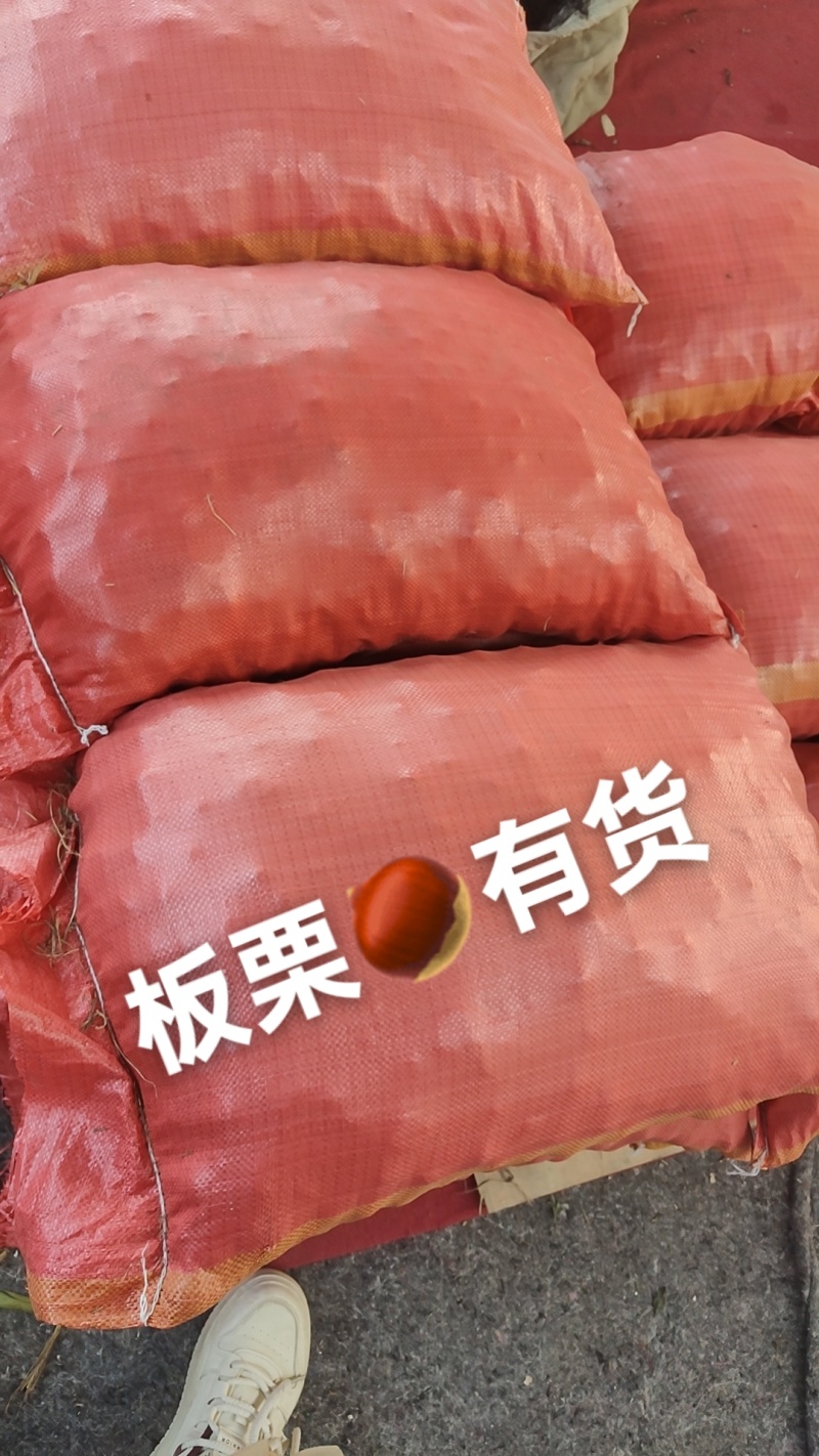 板栗有货，价格优惠质量很好，淄博市临淄区齐都镇东石来宾菜