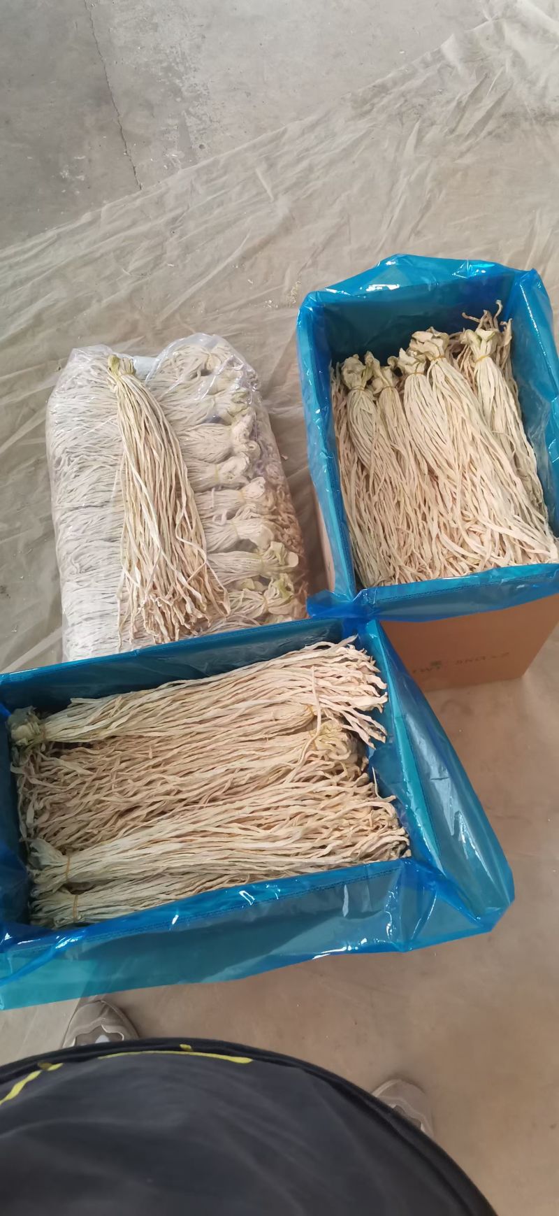 萝卜条/干货/市场/电商一件代发