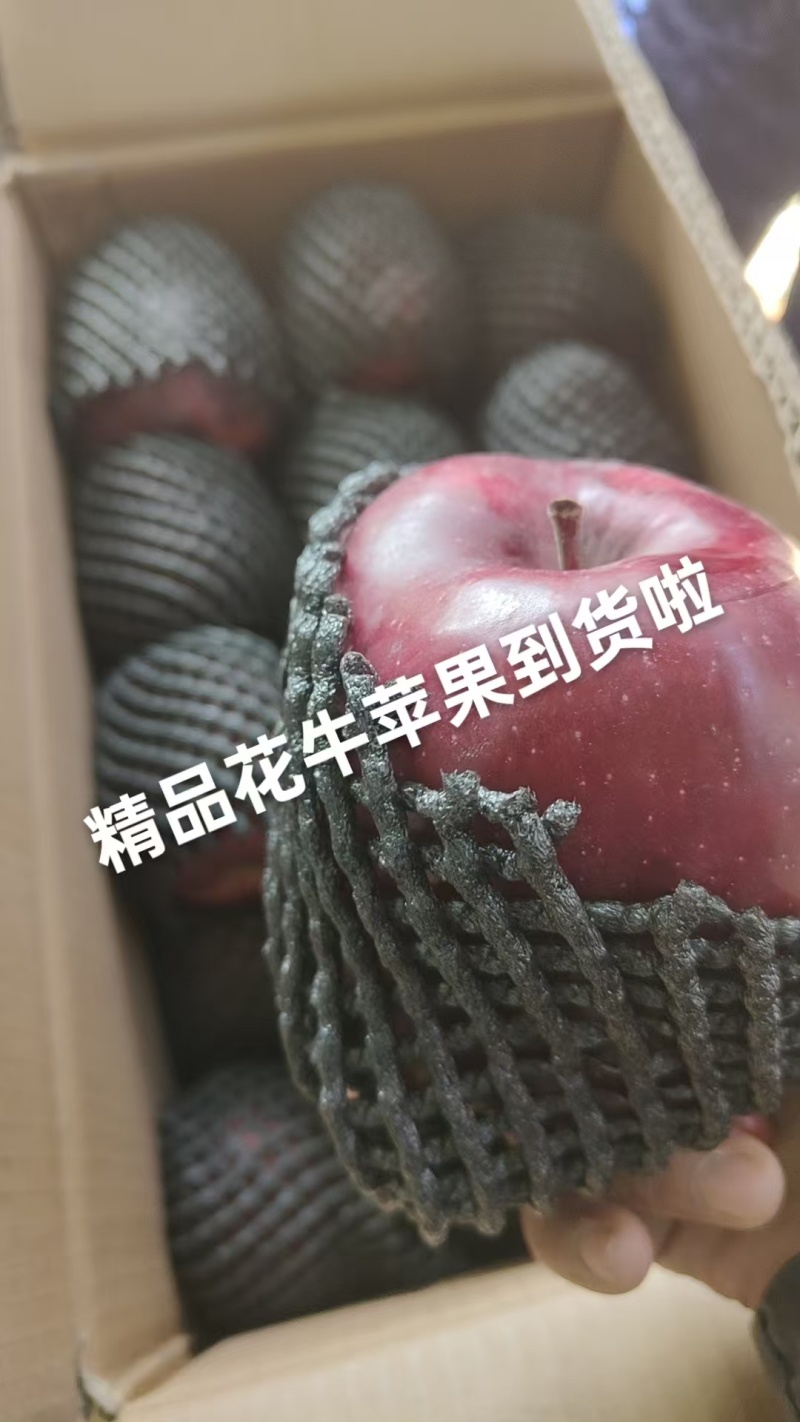 花牛苹果大果小果都有，质量很好，口感很好随到随装欢迎合作