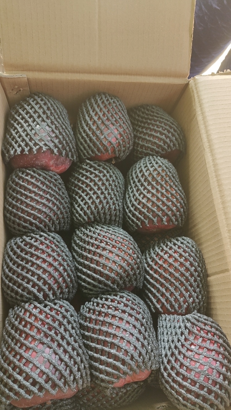 花牛苹果大果小果都有，质量很好，口感很好随到随装欢迎合作