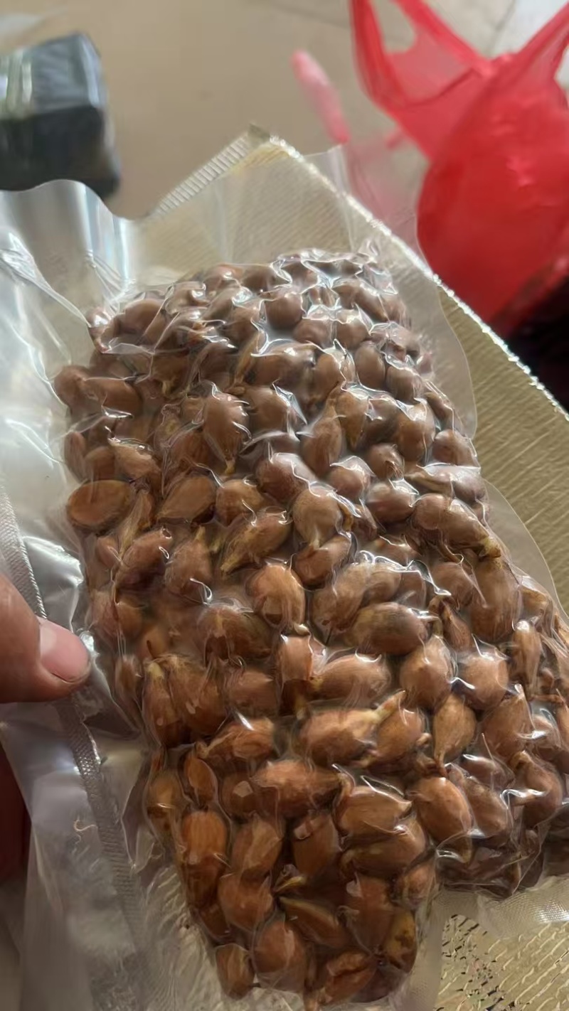 毛桃种子，桃种子，毛桃芽，辽宁毛桃芽，新疆毛桃芽