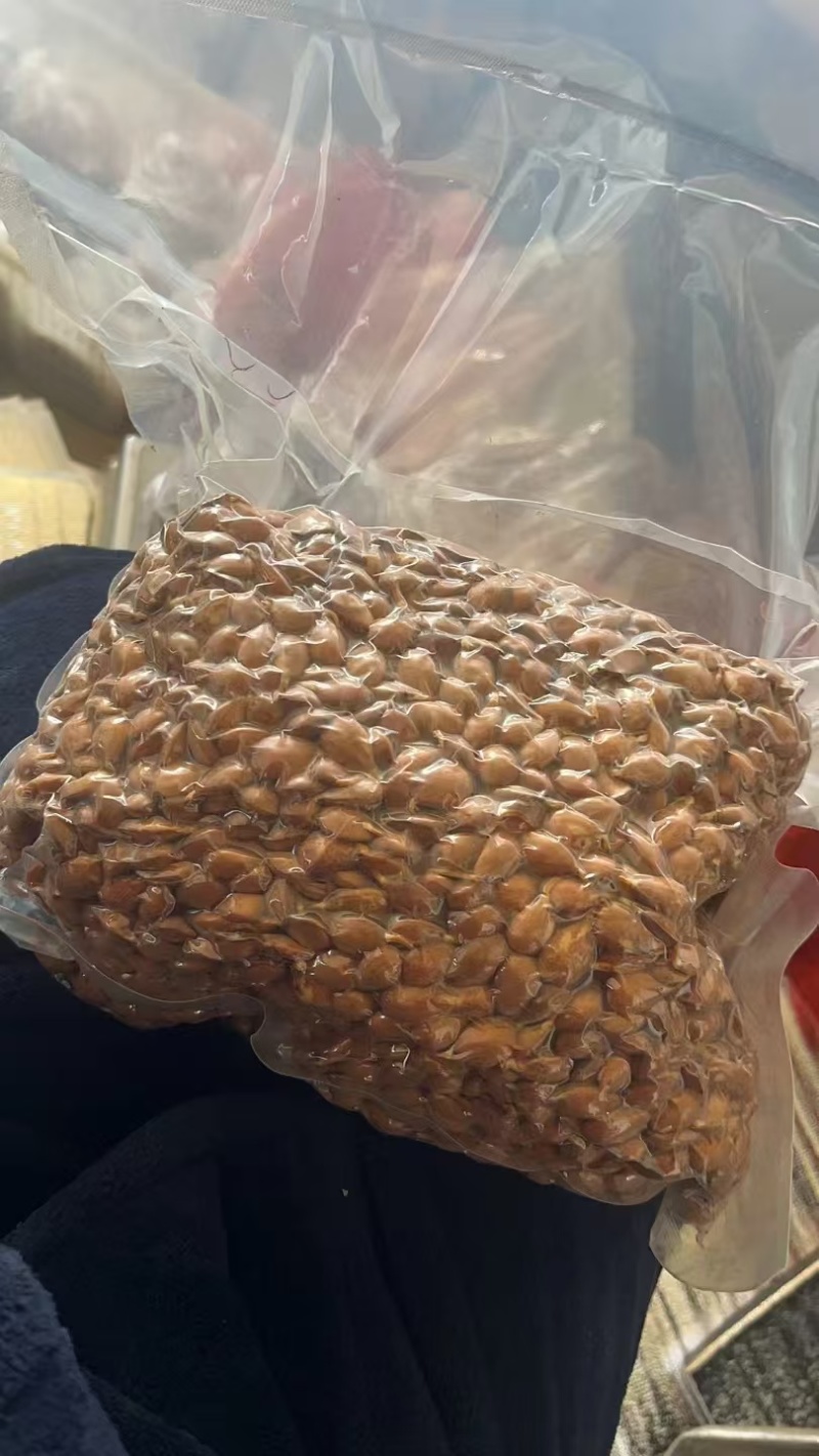 毛桃种子，桃种子，毛桃芽，辽宁毛桃芽，新疆毛桃芽