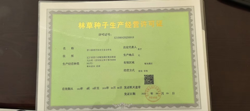 毛桃种子，桃种子，毛桃芽，辽宁毛桃芽，新疆毛桃芽