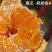 耙耙柑质量很好全大果，全天有货质量保证价格低廉欢迎合作，