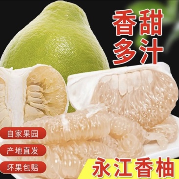 【质优】精品香柚专业实力代办货源充足大量供应精选