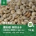 阿拉比卡蜜处理16目
