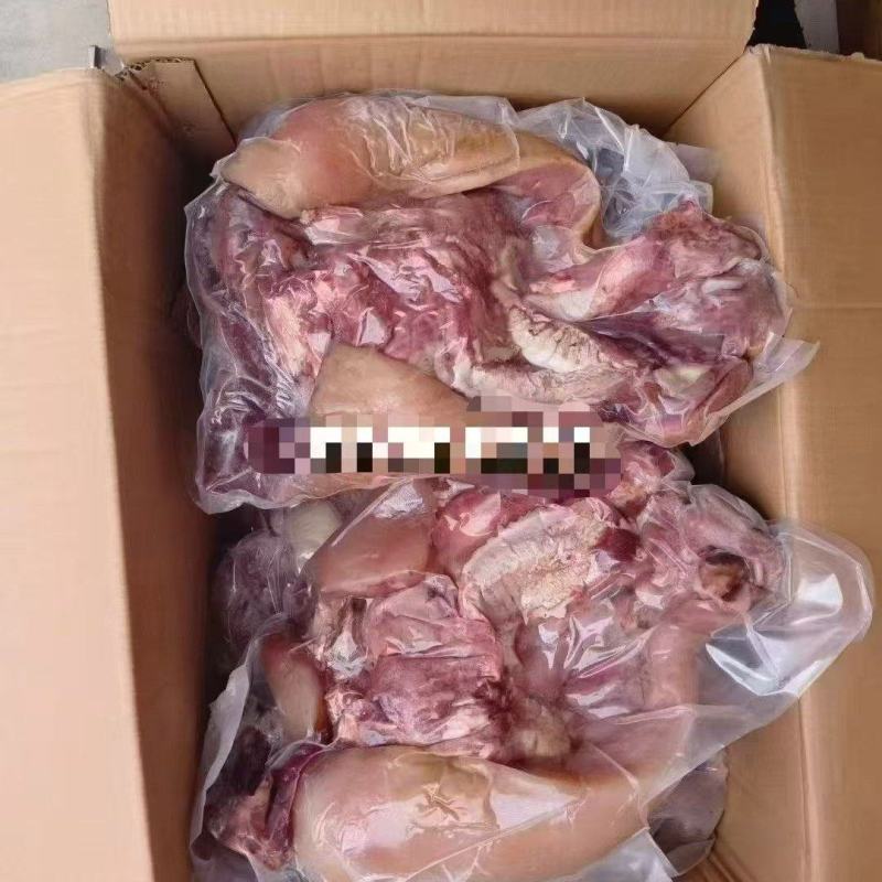 纯干去毛牛头肉
