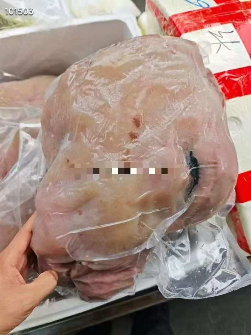 纯干去毛牛头肉