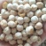 盐焗鹰嘴豆黑豆黄豆酥酥脆脆香香的，零食吃