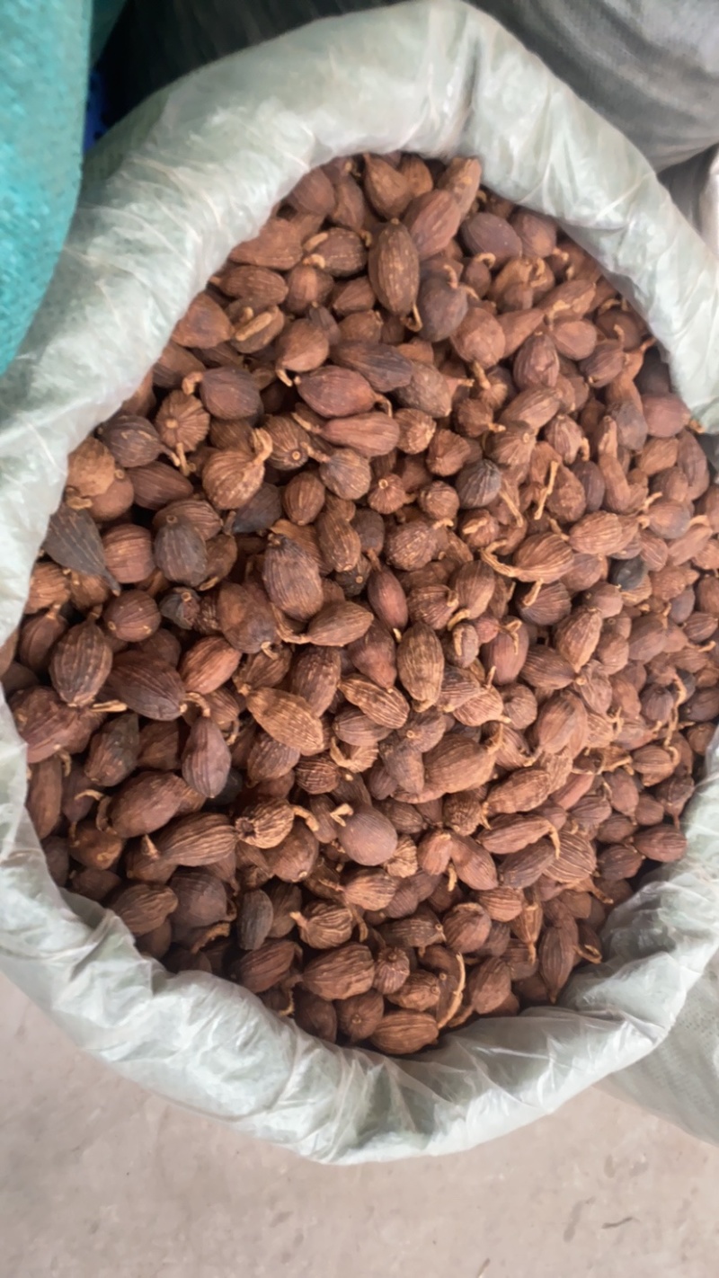 云南草果草果5斤起批农家草果卤肉料香料炖肉