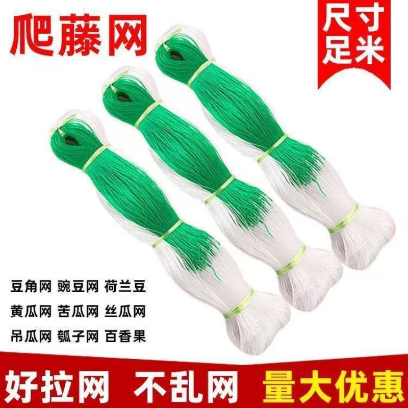植物攀爬网黄瓜吊瓜育苗豆角百香果豆角苦瓜丝瓜爬藤网瓜网保