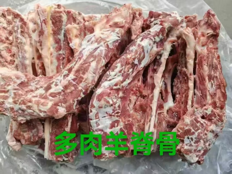 草地满肉羊蝎子：内蒙草原绵羊多肉的脊骨！新鲜速冻装箱，