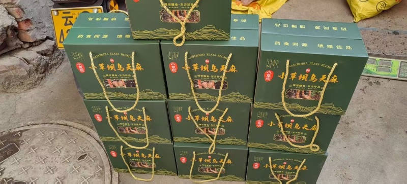 昭通乌天麻，品质保证。假一赔十，诚信经营，长期合作。