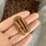 碧根果仁奶香味现货供应