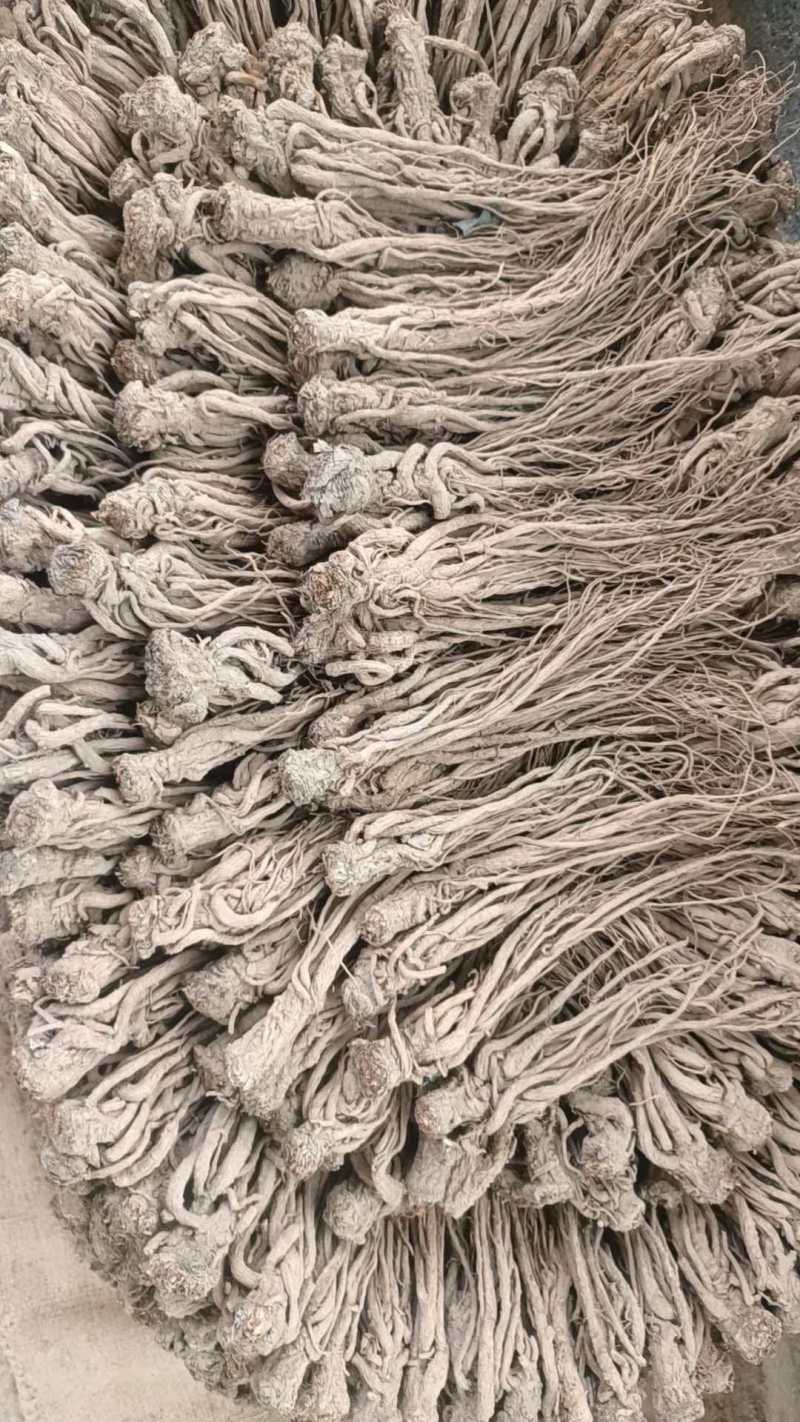 当归，产地直发，量大价优，保质保量，欢迎各位咨询