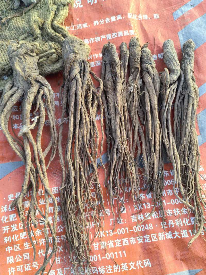 当归，产地直发，量大价优，保质保量，欢迎各位咨询