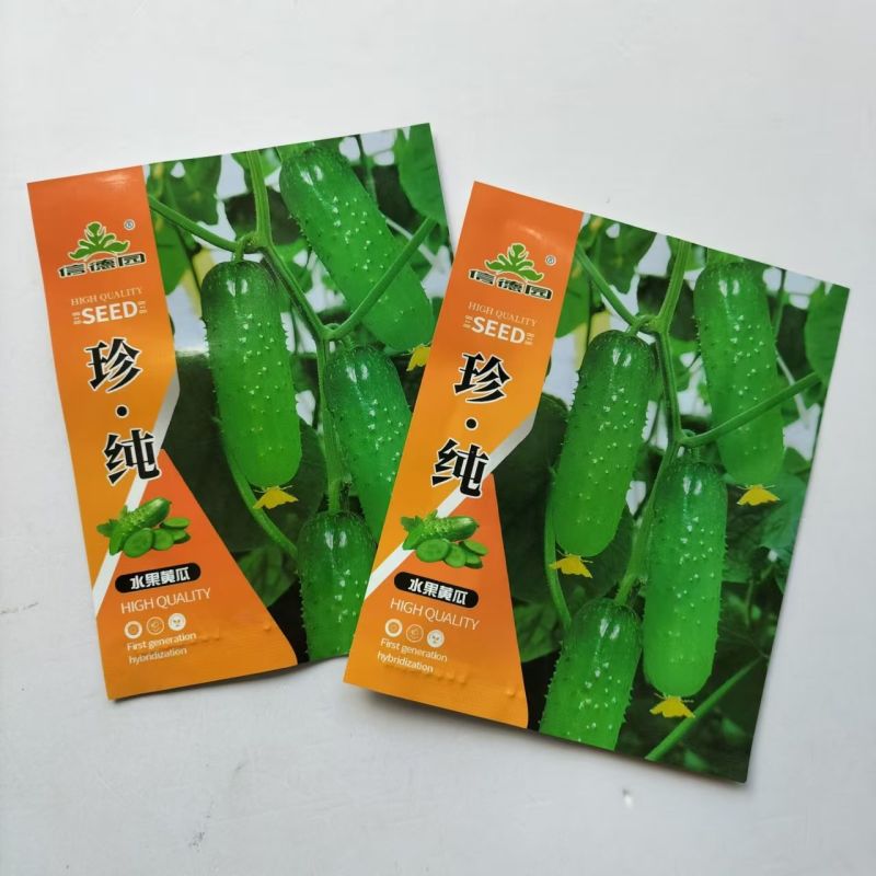 珍纯水果黄瓜秋季翠旱黄瓜种子基地露地用种全雌强磁型水果黄