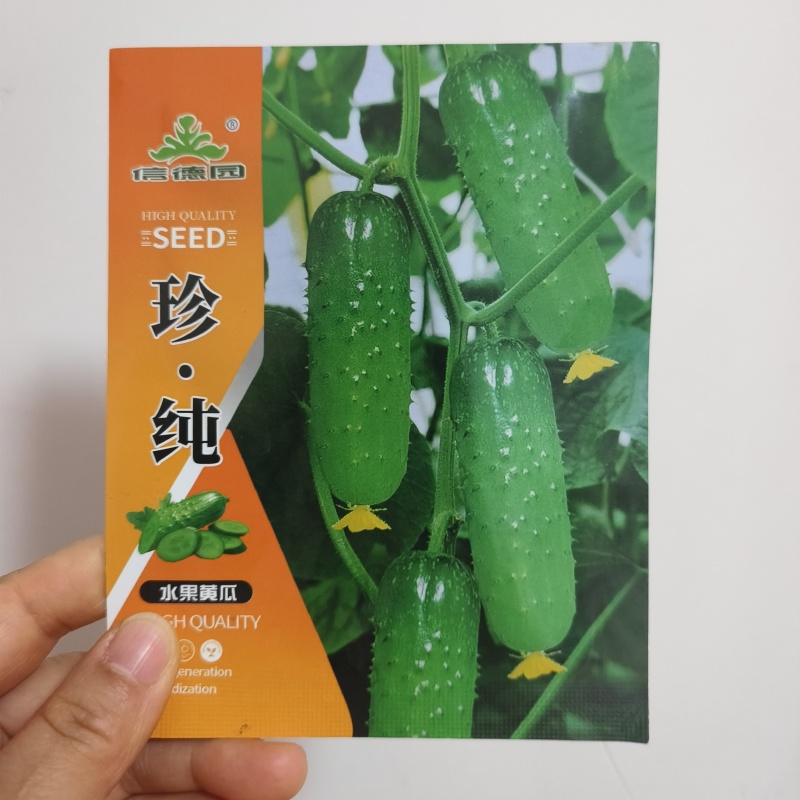 珍纯水果黄瓜秋季翠旱黄瓜种子基地露地用种全雌强磁型水果黄