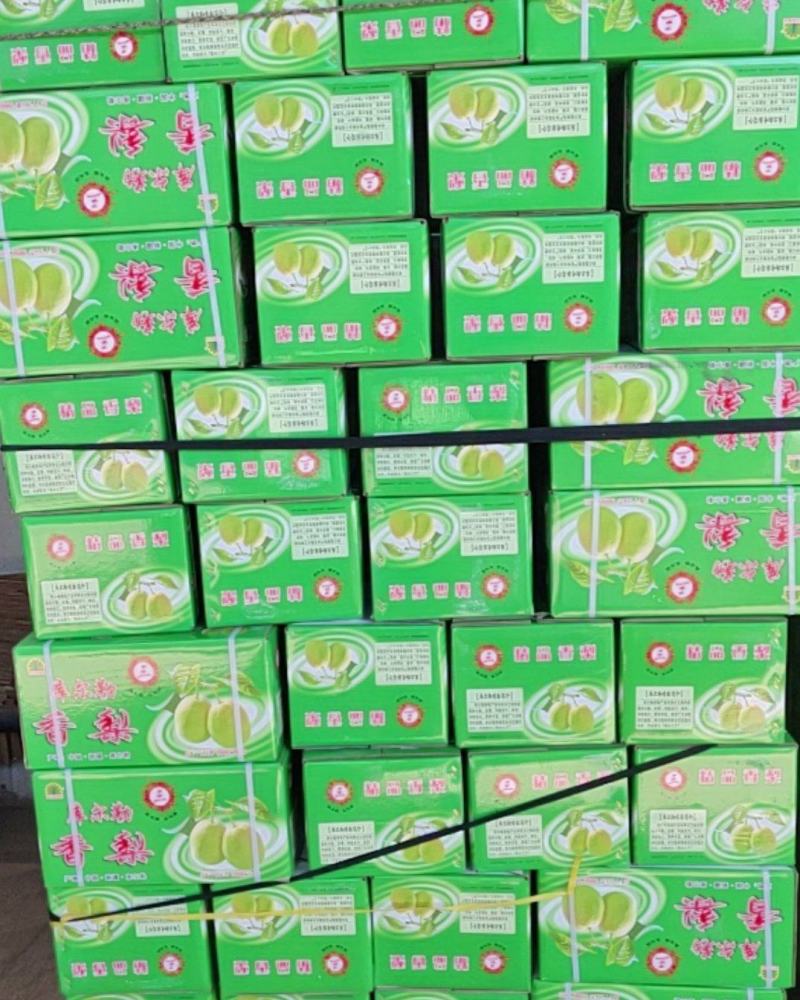 正宗库尔勒香梨