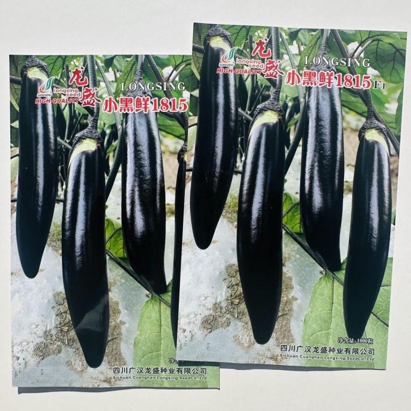 龙盛小黑鲜1815茄子种子春秋长茄种籽墨黑亮长茄子种子绿
