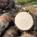 正宗广西特产荔浦芋头地标性产地直发现挖现发香甜软糯